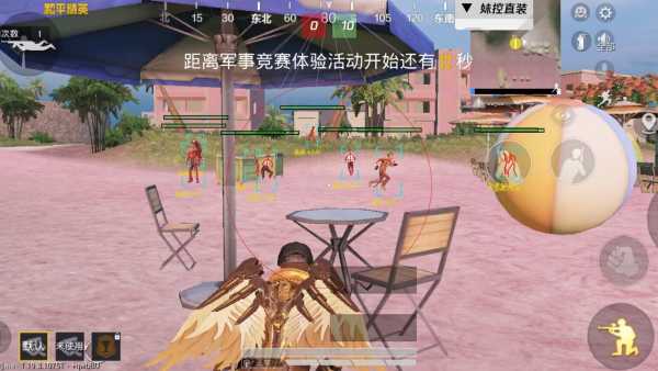 和平精英辅助【极目】